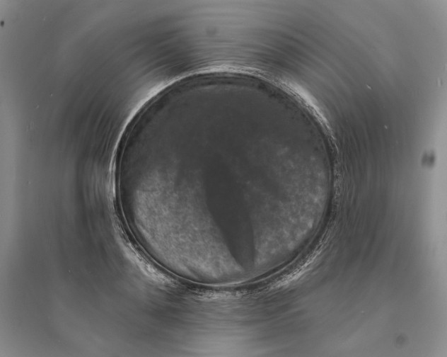 X0000094070892200711091149