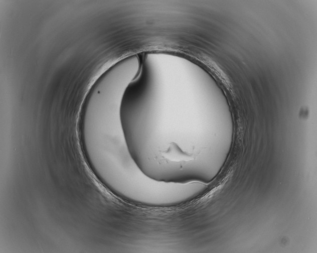 X0000094070893200711091149