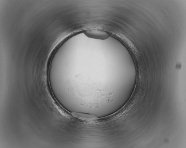 X0000094070894200711091149
