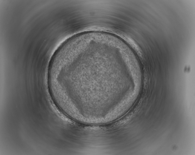 X0000094070896200711091149