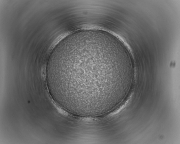 X0000094070897200711091149