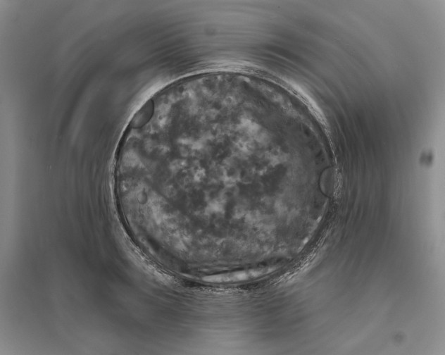 X0000094070899200711091149