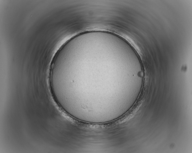 X0000094070901200711091149