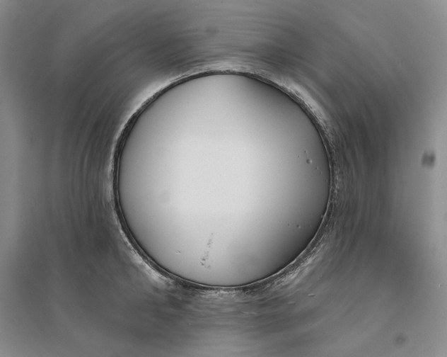 X0000094070902200711091149