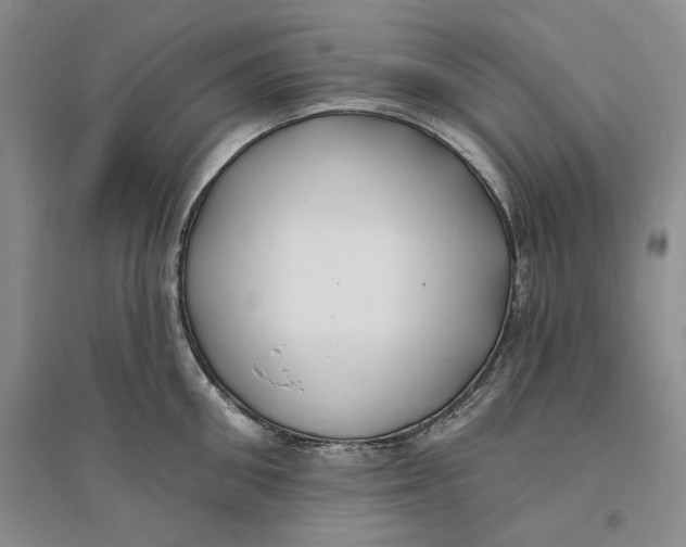 X0000094070906200711091149
