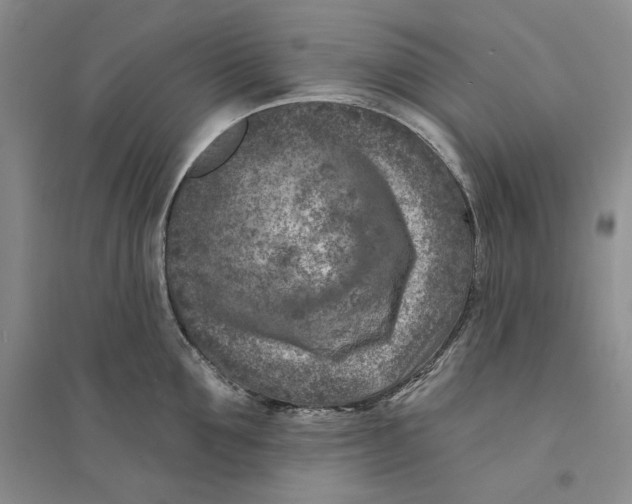 X0000094070907200711091149