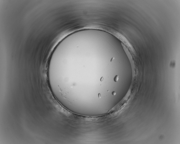 X0000094070908200711091149
