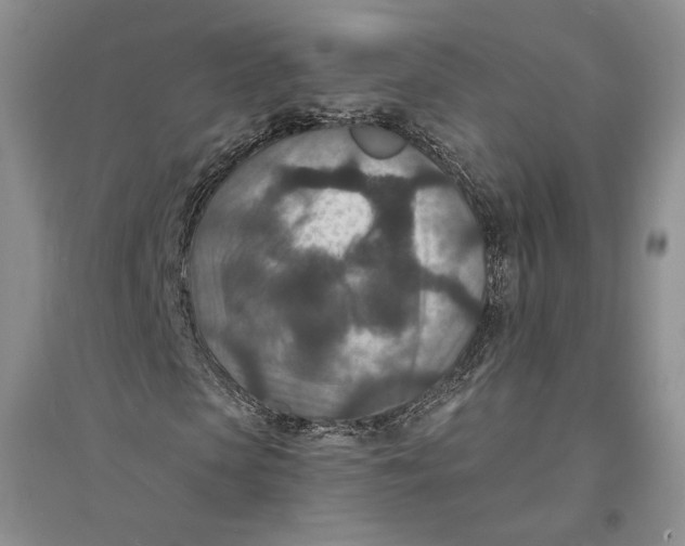 X0000094070913200711091148