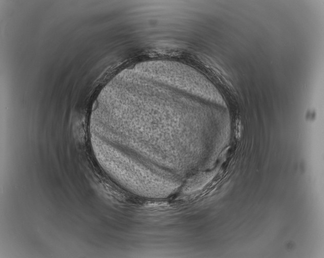 X0000094070915200711091148
