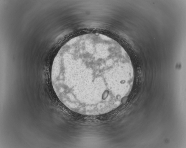 X0000094070918200711091148