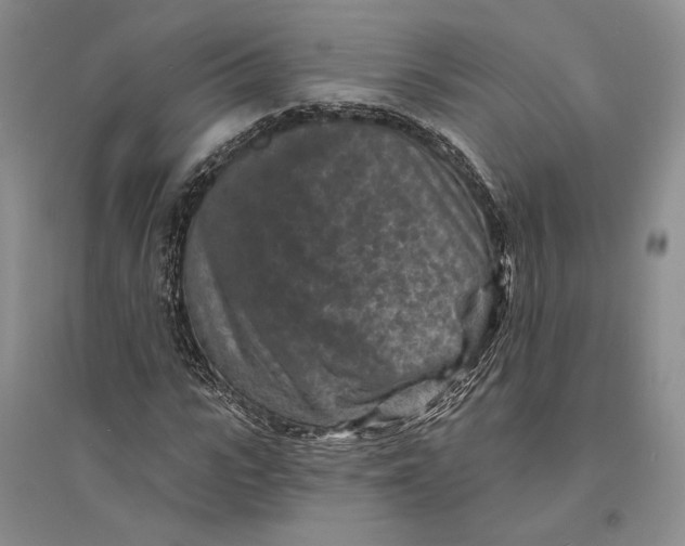 X0000094070919200711091148