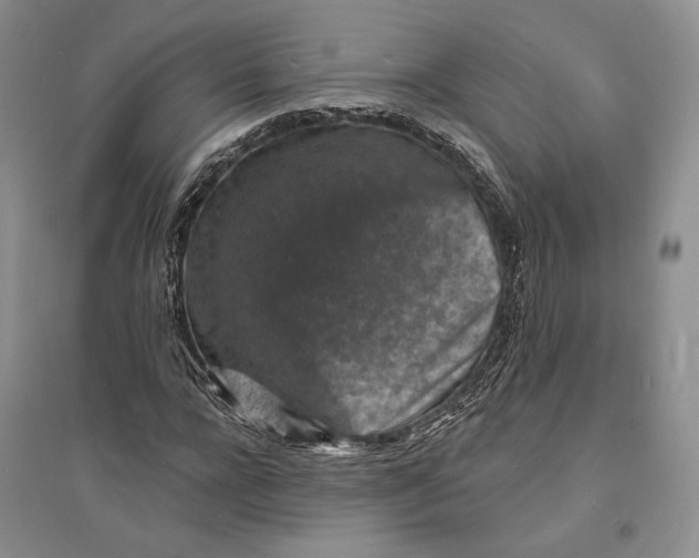 X0000094070920200711091148
