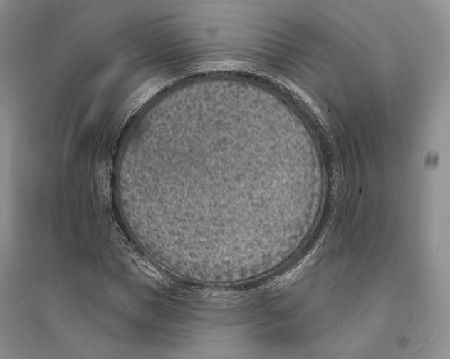 X0000094070921200711091148