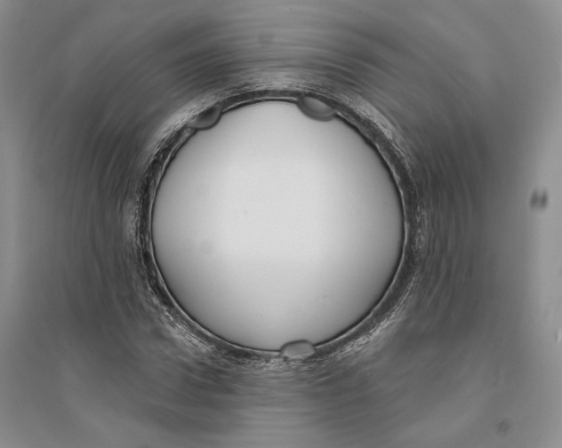 X0000094070922200711091148