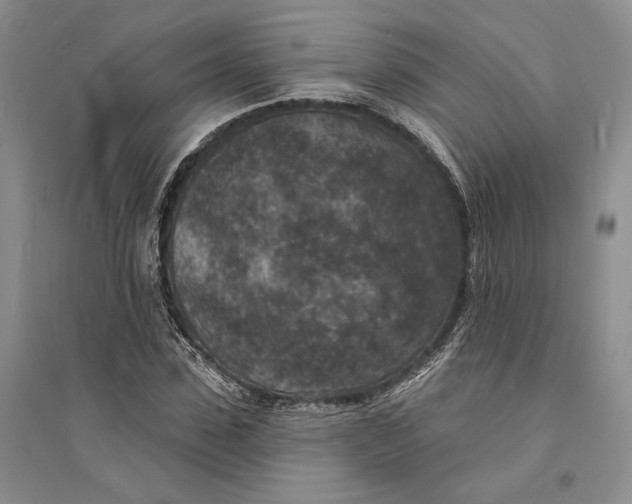X0000094070923200711091148