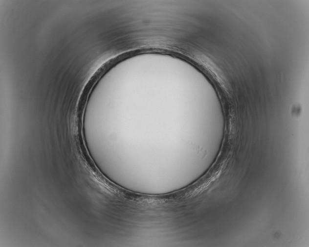 X0000094070924200711091148