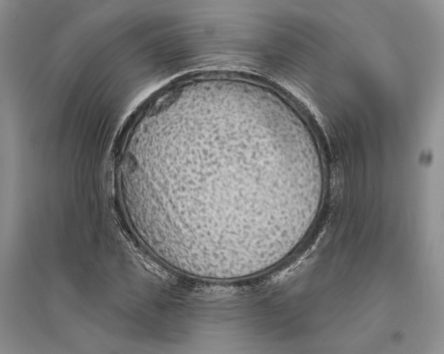 X0000094070925200711091148