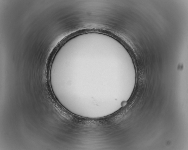 X0000094070927200711091148