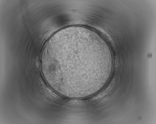 X0000094070929200711091148