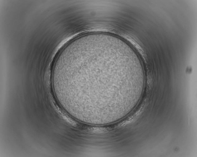 X0000094070933200711091148