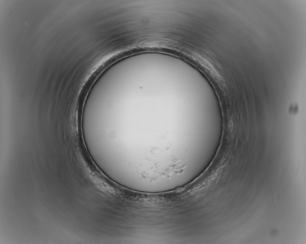 X0000094070934200711091148