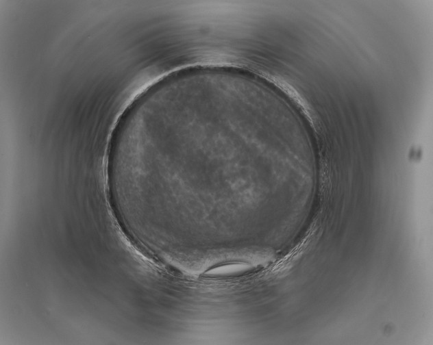 X0000094070935200711091148
