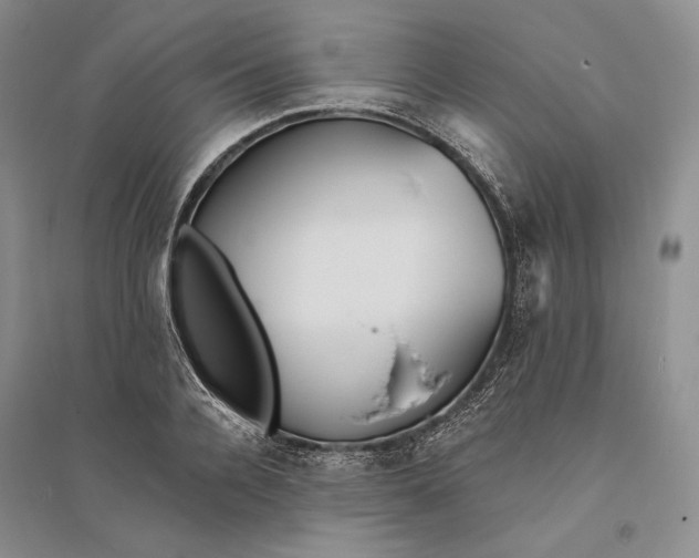 X0000094070936200711091148