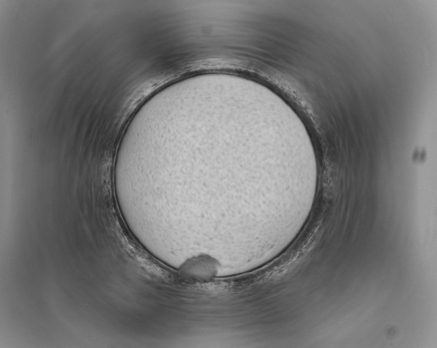 X0000094070937200711091148