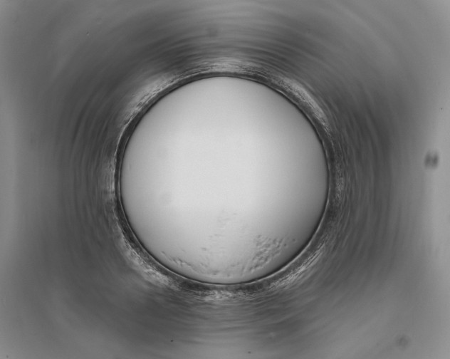 X0000094070938200711091148