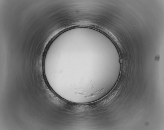 X0000094070939200711091148