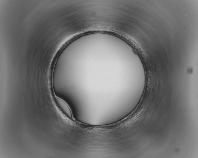 X0000094070942200711091148