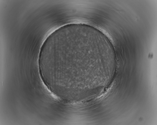 X0000094070943200711091148