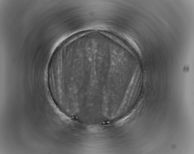 X0000094070944200711091148