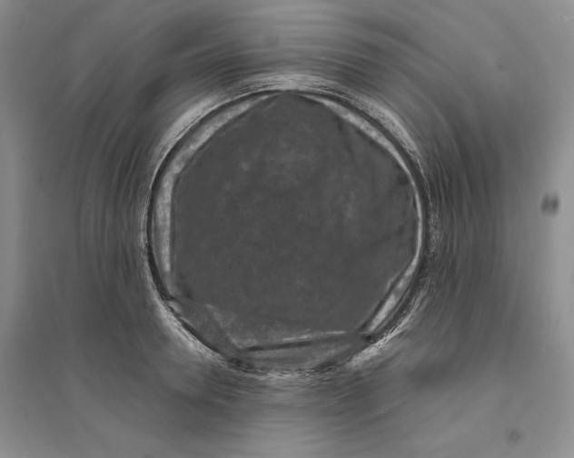 X0000094070946200711091148