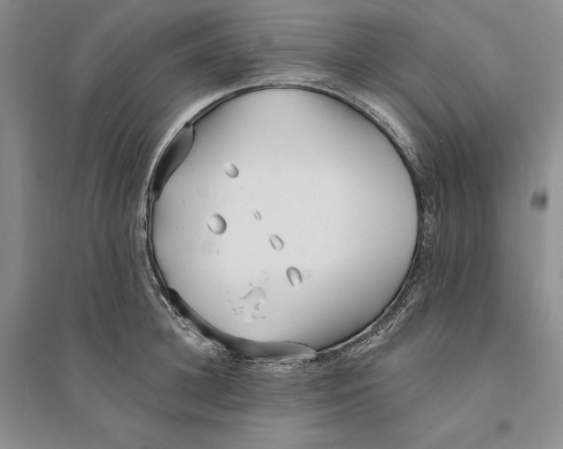 X0000094070948200711091148
