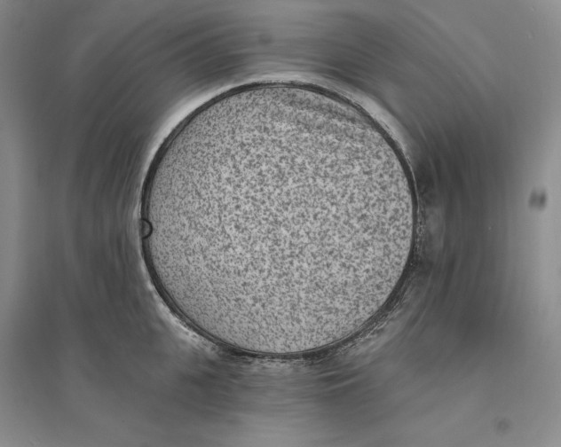 X0000094070951200711091148