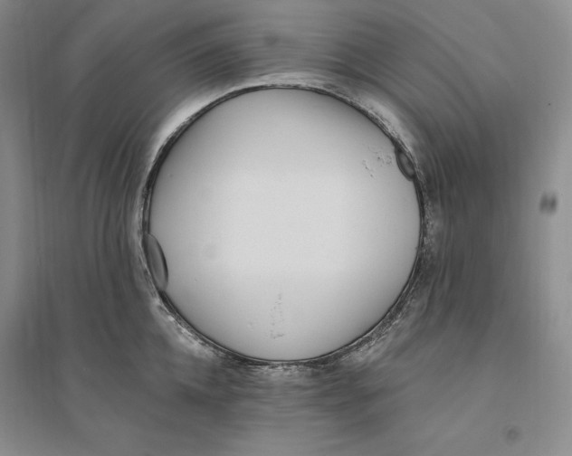 X0000094070952200711091148