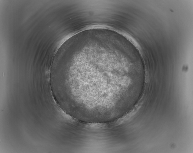 X0000094070953200711091148
