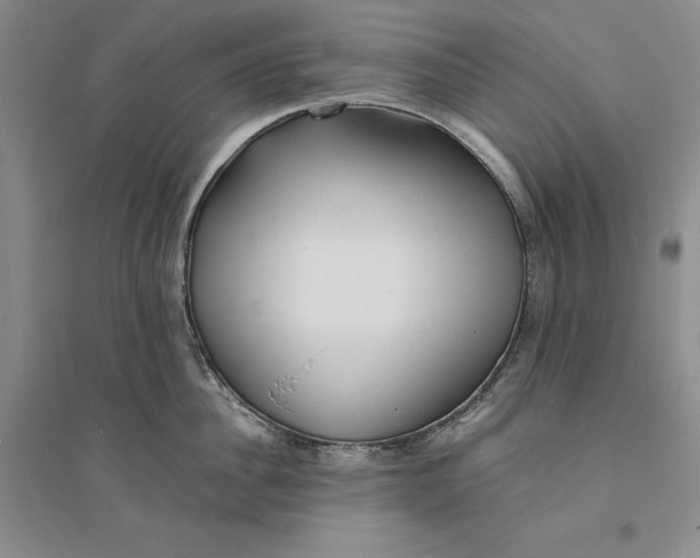 X0000094070956200711091148
