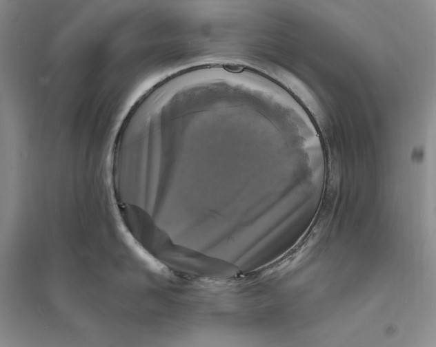 X0000094070958200711091148