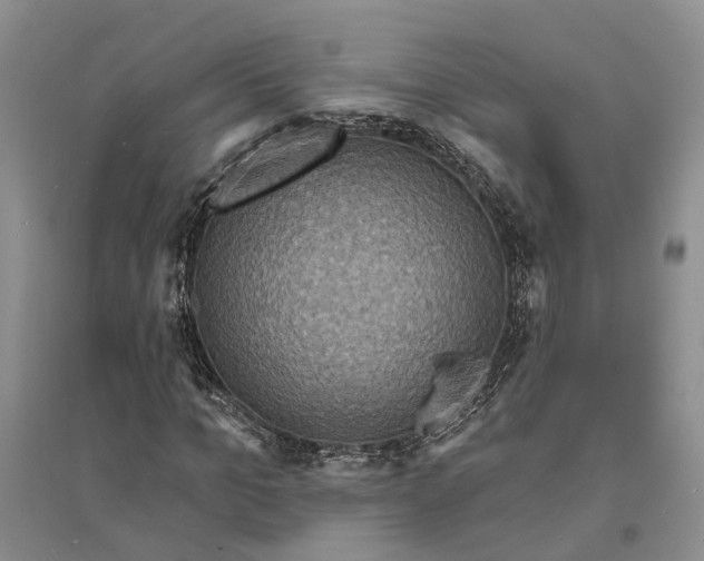 X0000094070965200711091148