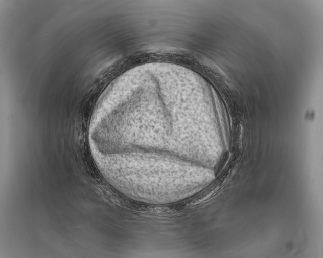 X0000094070966200711091148