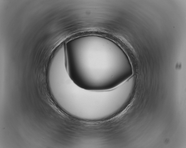 X0000094070969200711091148
