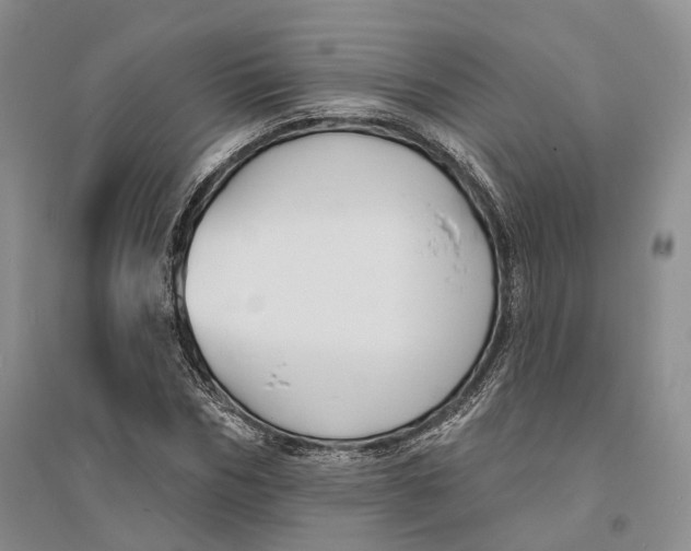 X0000094070970200711091148
