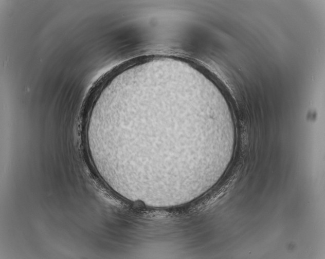 X0000094070971200711091148