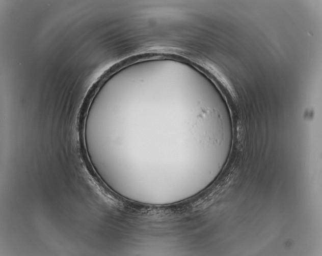 X0000094070972200711091148
