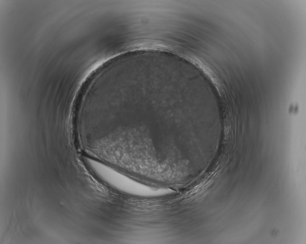 X0000094070975200711091148