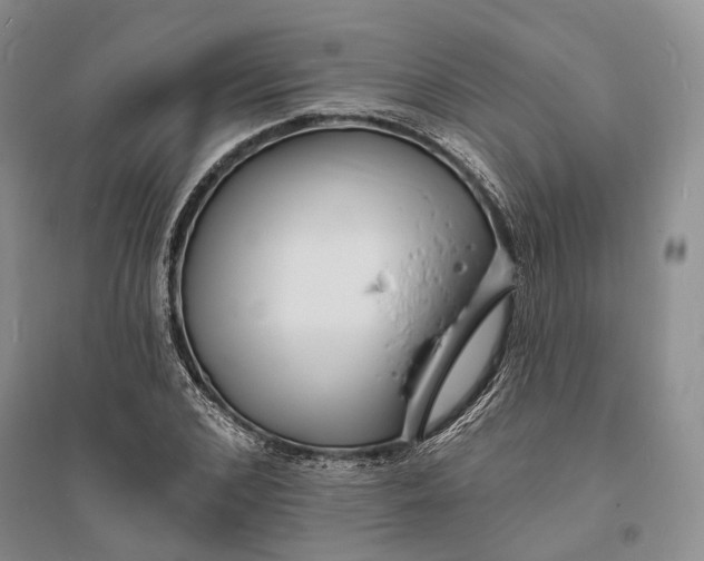 X0000094070976200711091148