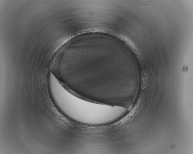 X0000094070977200711091148