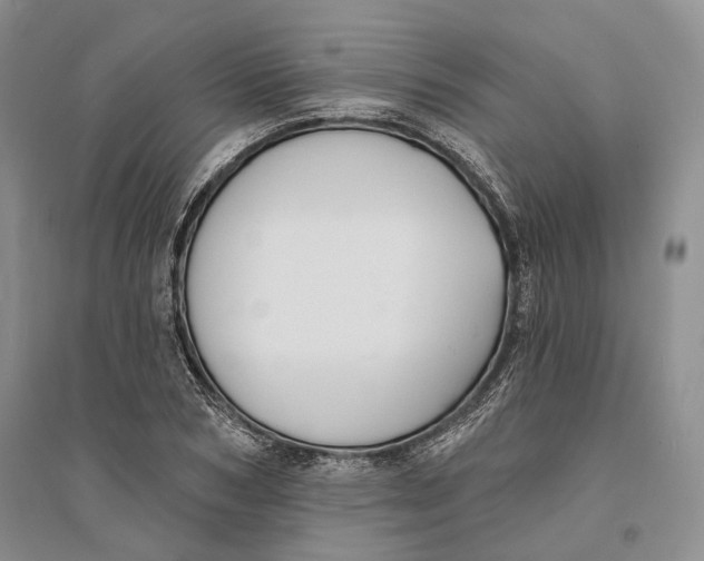 X0000094070978200711091148